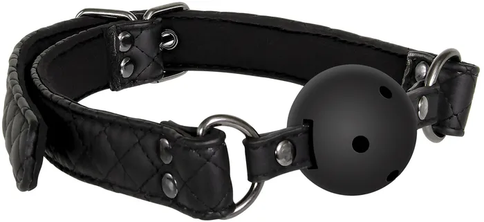 Couples Eves Fetish Dreams Ball Gag Adam and Eve